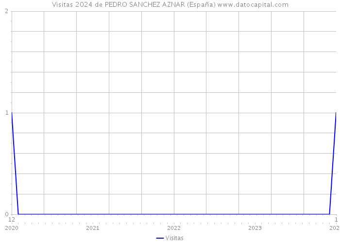 Visitas 2024 de PEDRO SANCHEZ AZNAR (España) 