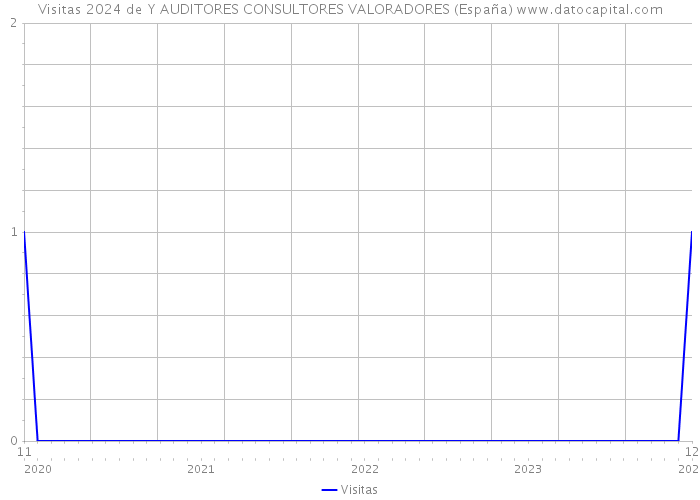 Visitas 2024 de Y AUDITORES CONSULTORES VALORADORES (España) 