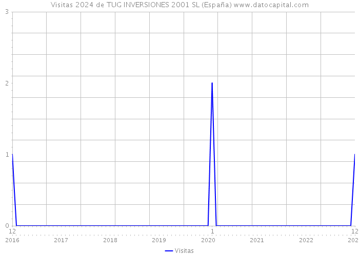 Visitas 2024 de TUG INVERSIONES 2001 SL (España) 