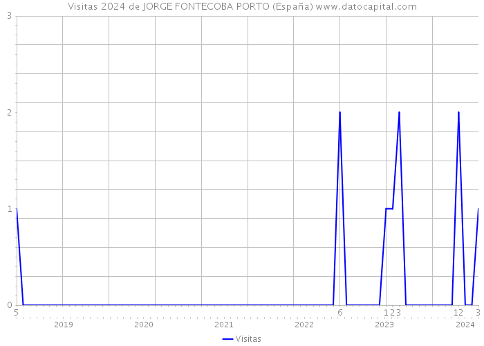 Visitas 2024 de JORGE FONTECOBA PORTO (España) 