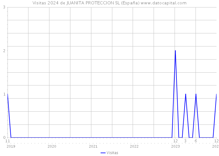 Visitas 2024 de JUANITA PROTECCION SL (España) 