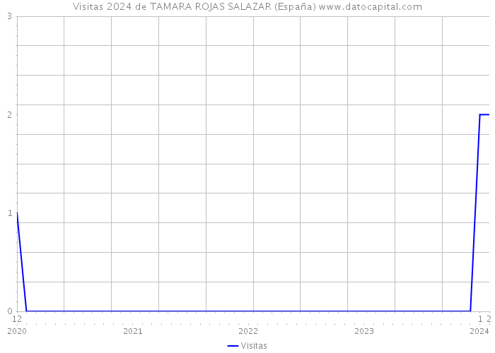Visitas 2024 de TAMARA ROJAS SALAZAR (España) 