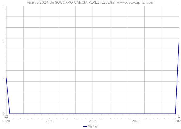 Visitas 2024 de SOCORRO GARCIA PEREZ (España) 