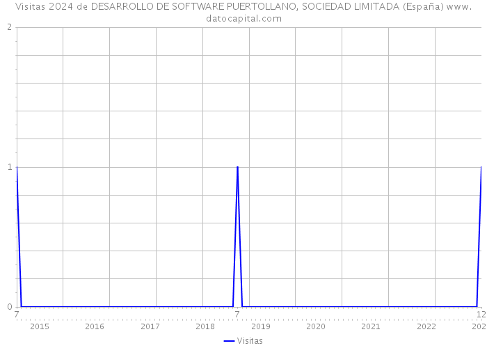 Visitas 2024 de DESARROLLO DE SOFTWARE PUERTOLLANO, SOCIEDAD LIMITADA (España) 