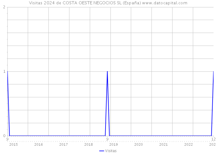 Visitas 2024 de COSTA OESTE NEGOCIOS SL (España) 