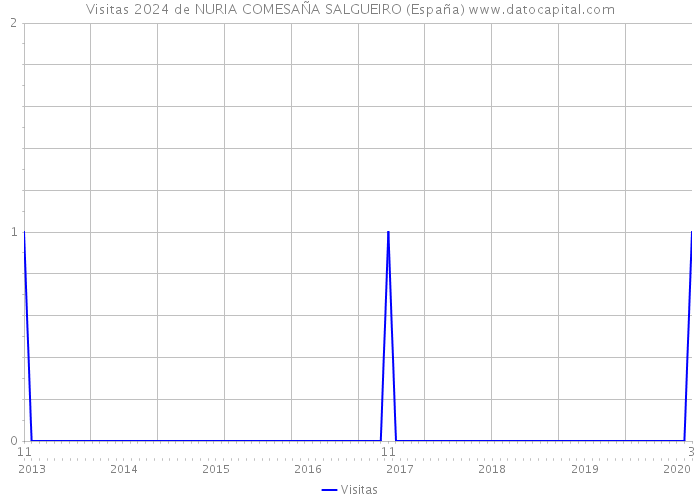 Visitas 2024 de NURIA COMESAÑA SALGUEIRO (España) 