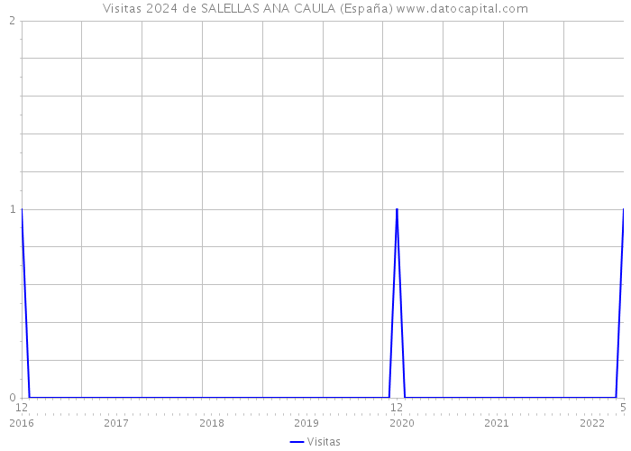 Visitas 2024 de SALELLAS ANA CAULA (España) 