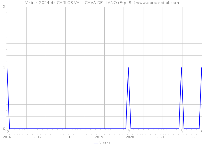 Visitas 2024 de CARLOS VALL CAVA DE LLANO (España) 