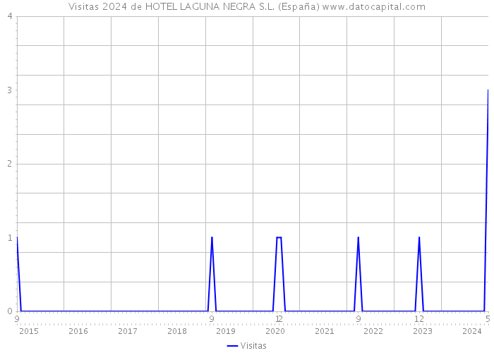 Visitas 2024 de HOTEL LAGUNA NEGRA S.L. (España) 