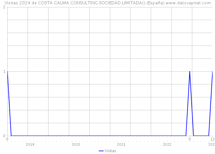 Visitas 2024 de COSTA CALMA CONSULTING SOCIEDAD LIMITADA() (España) 