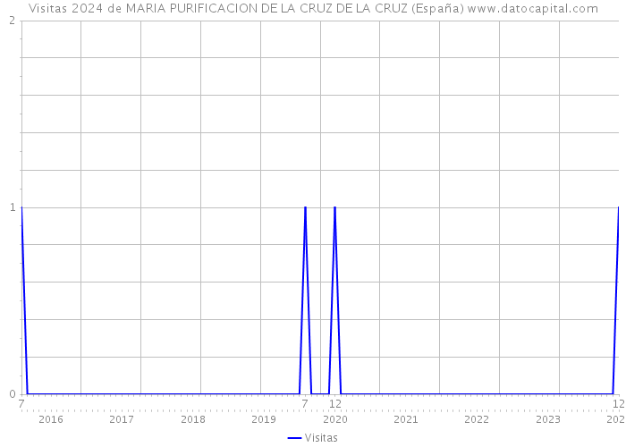 Visitas 2024 de MARIA PURIFICACION DE LA CRUZ DE LA CRUZ (España) 
