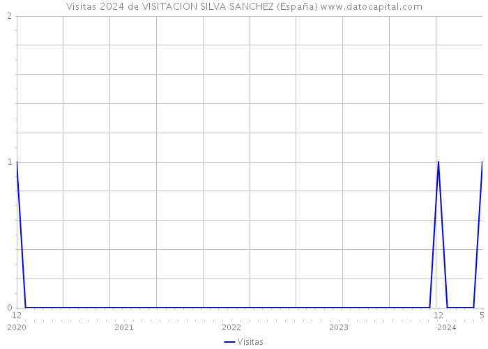 Visitas 2024 de VISITACION SILVA SANCHEZ (España) 