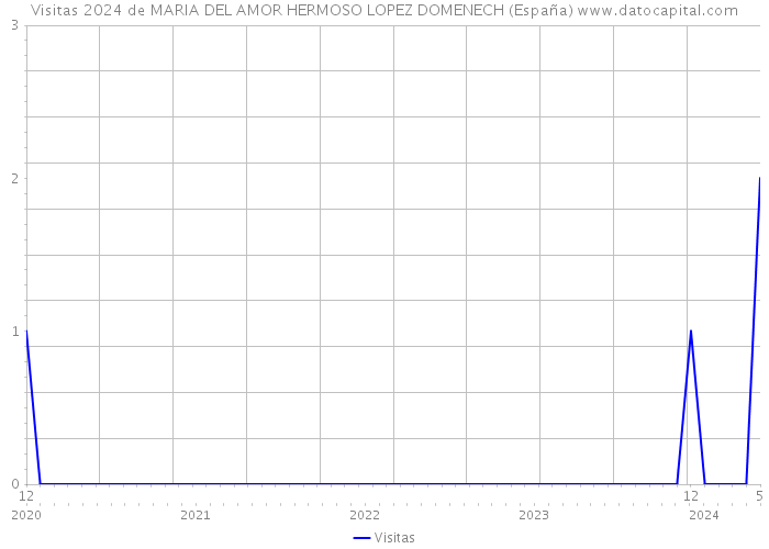 Visitas 2024 de MARIA DEL AMOR HERMOSO LOPEZ DOMENECH (España) 