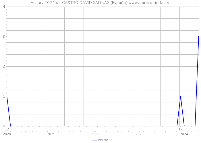 Visitas 2024 de CASTRO DAVID SALINAS (España) 