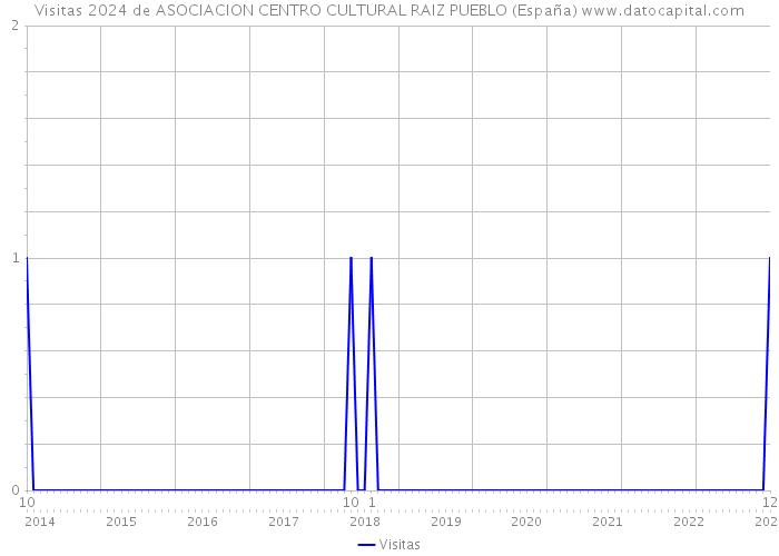 Visitas 2024 de ASOCIACION CENTRO CULTURAL RAIZ PUEBLO (España) 