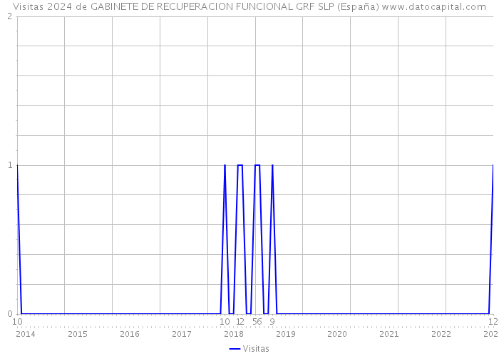 Visitas 2024 de GABINETE DE RECUPERACION FUNCIONAL GRF SLP (España) 