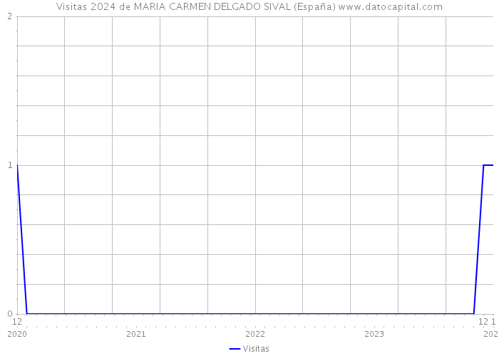 Visitas 2024 de MARIA CARMEN DELGADO SIVAL (España) 