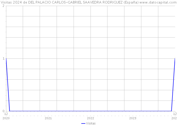 Visitas 2024 de DEL PALACIO CARLOS-GABRIEL SAAVEDRA RODRIGUEZ (España) 