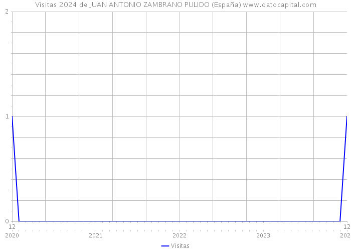 Visitas 2024 de JUAN ANTONIO ZAMBRANO PULIDO (España) 