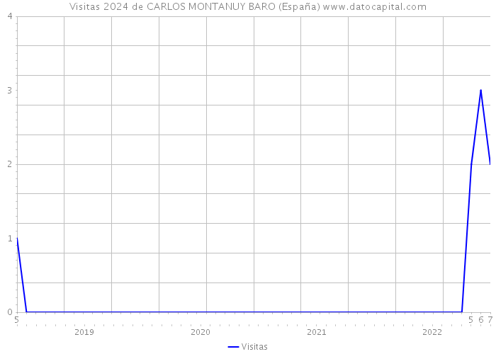 Visitas 2024 de CARLOS MONTANUY BARO (España) 