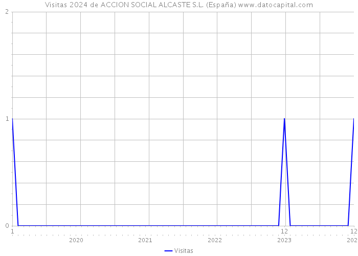 Visitas 2024 de ACCION SOCIAL ALCASTE S.L. (España) 