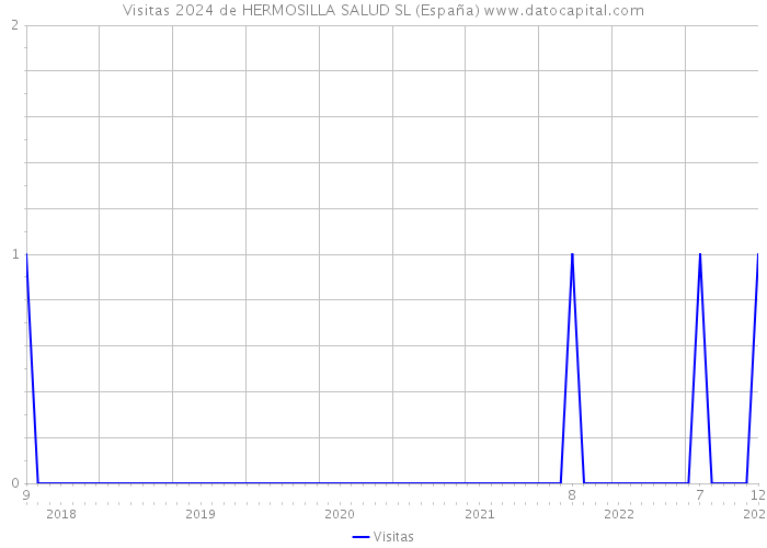 Visitas 2024 de HERMOSILLA SALUD SL (España) 
