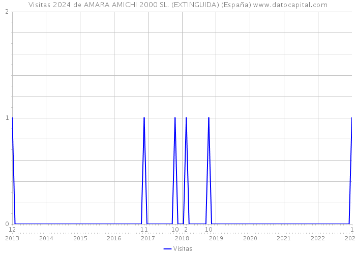 Visitas 2024 de AMARA AMICHI 2000 SL. (EXTINGUIDA) (España) 