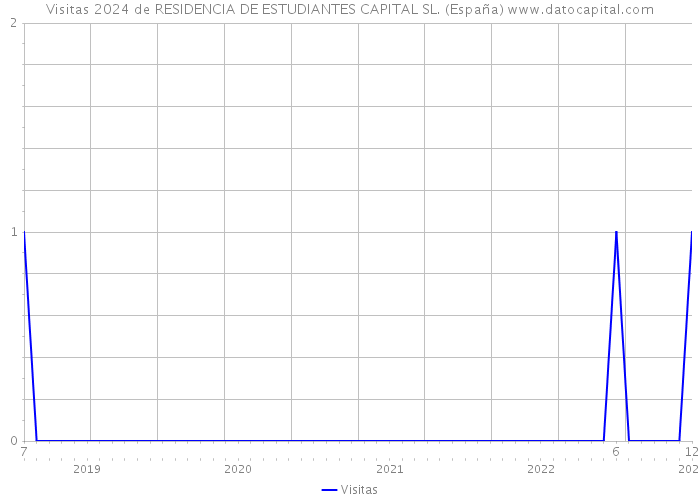 Visitas 2024 de RESIDENCIA DE ESTUDIANTES CAPITAL SL. (España) 