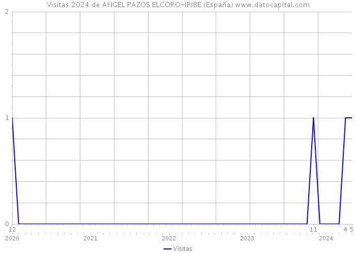 Visitas 2024 de ANGEL PAZOS ELCORO-IRIBE (España) 