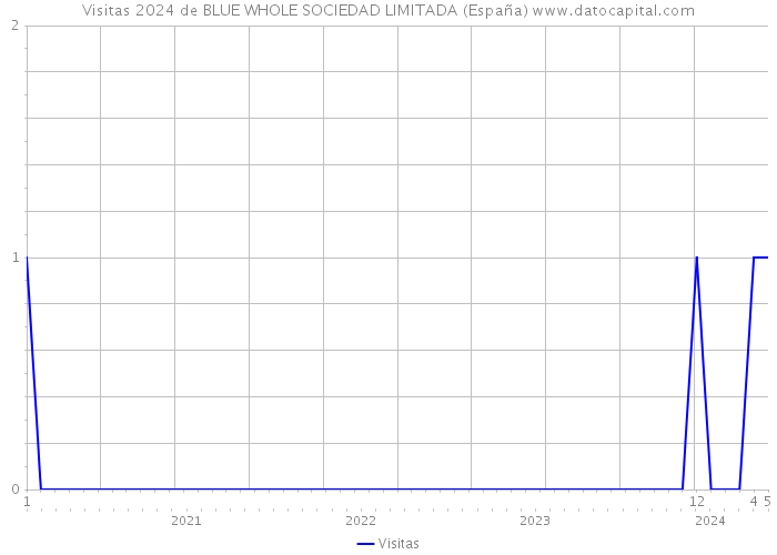 Visitas 2024 de BLUE WHOLE SOCIEDAD LIMITADA (España) 