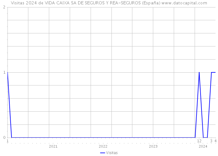 Visitas 2024 de VIDA CAIXA SA DE SEGUROS Y REA-SEGUROS (España) 