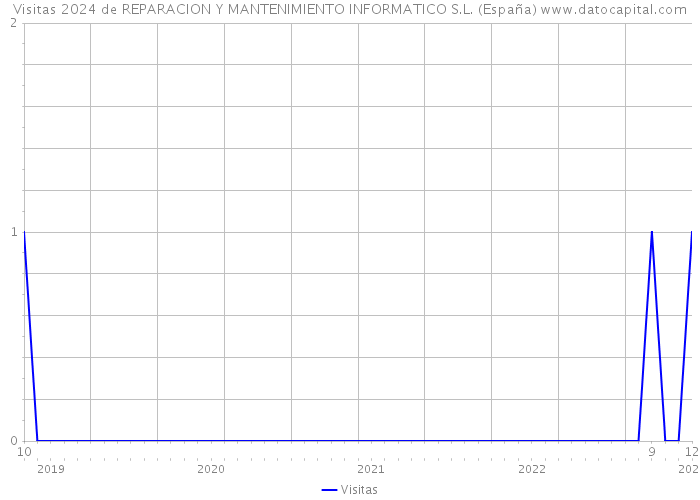Visitas 2024 de REPARACION Y MANTENIMIENTO INFORMATICO S.L. (España) 