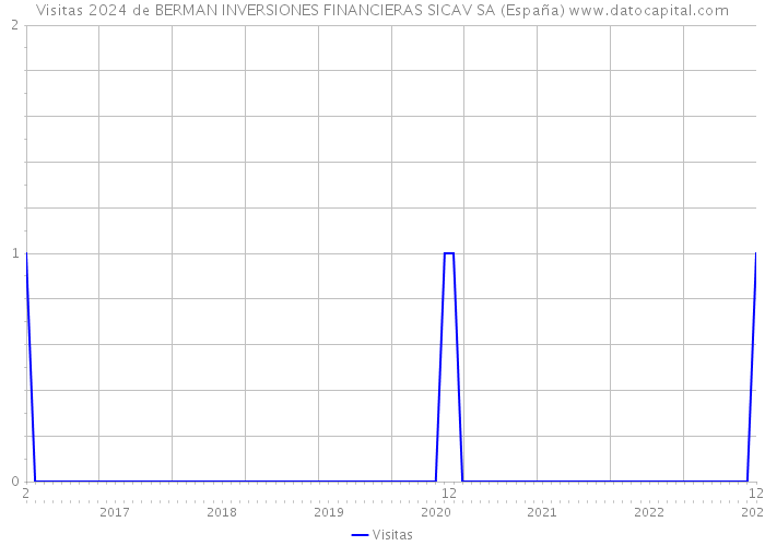 Visitas 2024 de BERMAN INVERSIONES FINANCIERAS SICAV SA (España) 