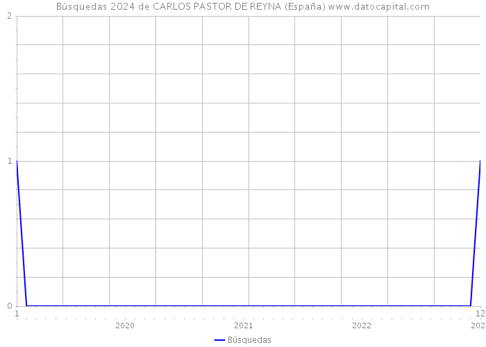 Búsquedas 2024 de CARLOS PASTOR DE REYNA (España) 