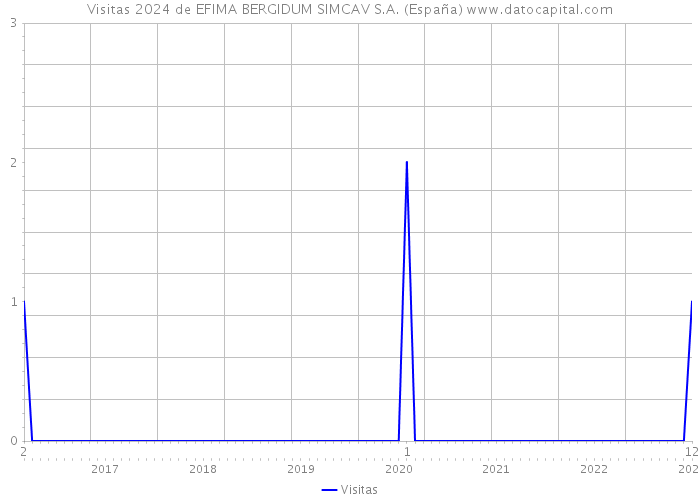 Visitas 2024 de EFIMA BERGIDUM SIMCAV S.A. (España) 
