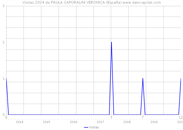 Visitas 2024 de PAULA CAPORALINI VERONICA (España) 