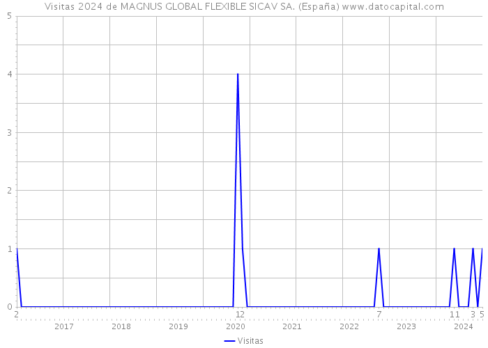 Visitas 2024 de MAGNUS GLOBAL FLEXIBLE SICAV SA. (España) 