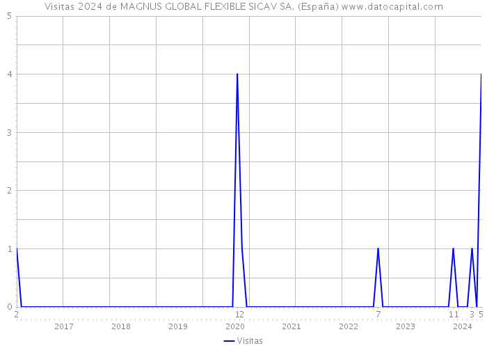 Visitas 2024 de MAGNUS GLOBAL FLEXIBLE SICAV SA. (España) 
