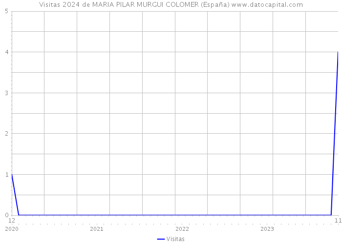 Visitas 2024 de MARIA PILAR MURGUI COLOMER (España) 