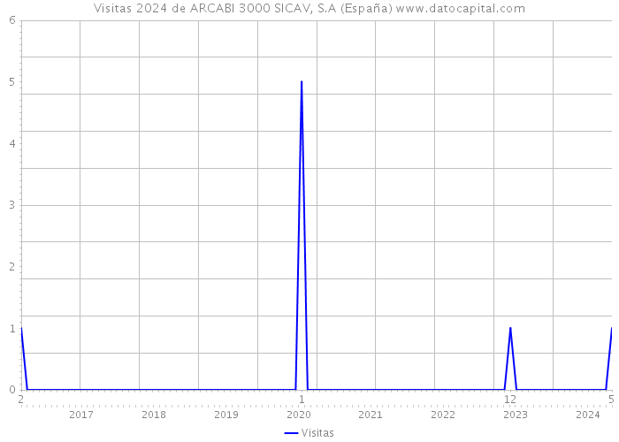 Visitas 2024 de ARCABI 3000 SICAV, S.A (España) 