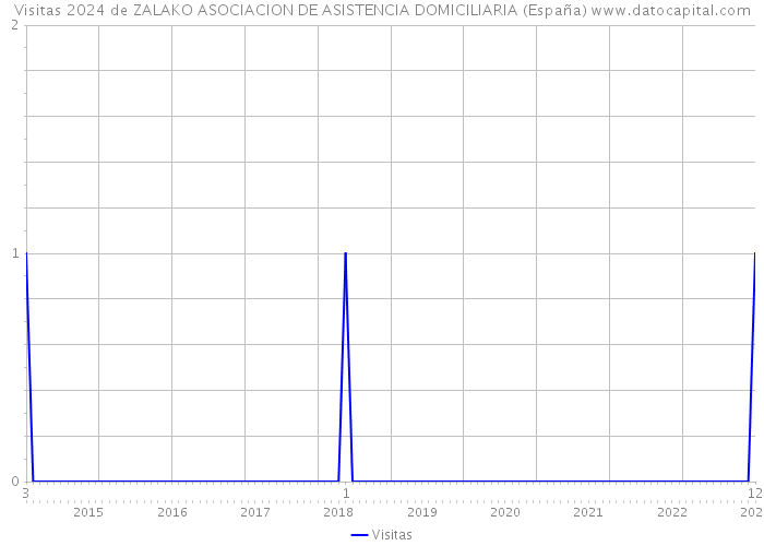 Visitas 2024 de ZALAKO ASOCIACION DE ASISTENCIA DOMICILIARIA (España) 