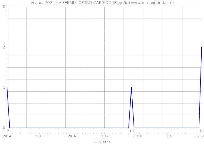 Visitas 2024 de FERMIN CERRO GARRIDO (España) 