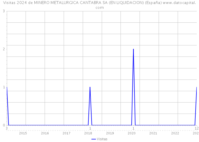Visitas 2024 de MINERO METALURGICA CANTABRA SA (EN LIQUIDACION) (España) 