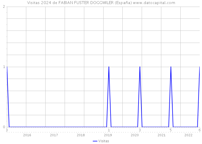 Visitas 2024 de FABIAN FUSTER DOGGWILER (España) 
