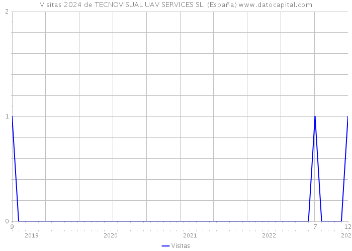 Visitas 2024 de TECNOVISUAL UAV SERVICES SL. (España) 