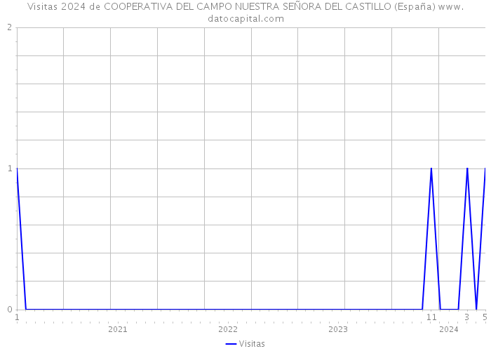 Visitas 2024 de COOPERATIVA DEL CAMPO NUESTRA SEÑORA DEL CASTILLO (España) 