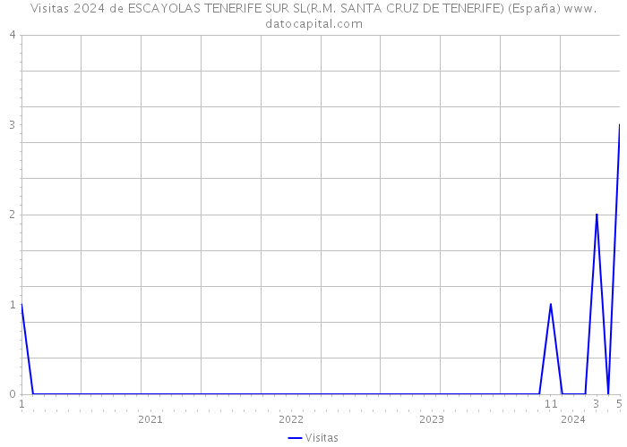 Visitas 2024 de ESCAYOLAS TENERIFE SUR SL(R.M. SANTA CRUZ DE TENERIFE) (España) 