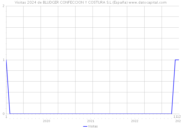 Visitas 2024 de BLUDGER CONFECCION Y COSTURA S.L (España) 