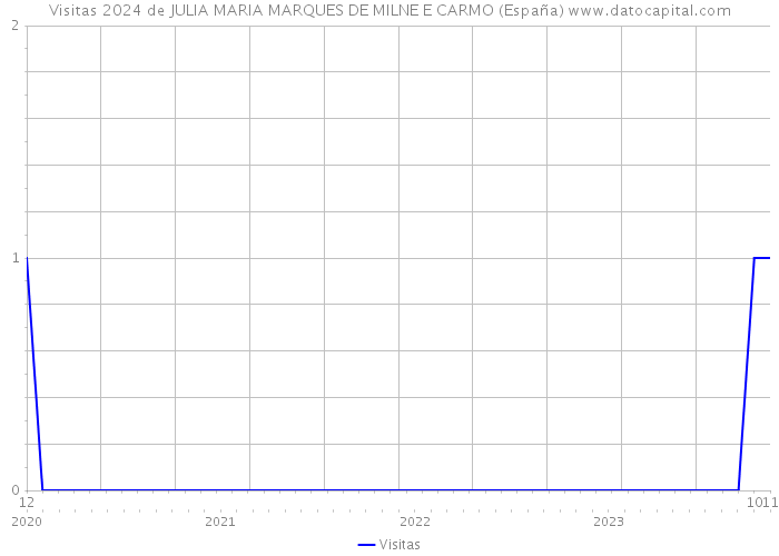 Visitas 2024 de JULIA MARIA MARQUES DE MILNE E CARMO (España) 