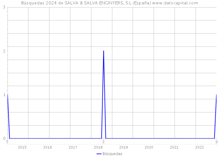 Búsquedas 2024 de SALVA & SALVA ENGINYERS, S.L (España) 